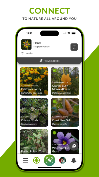 iNaturalist screenshot 1