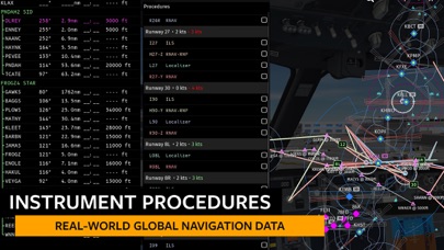 Infinite Flight Simulator screenshot 1