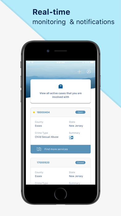 InfoVNS screenshot 7