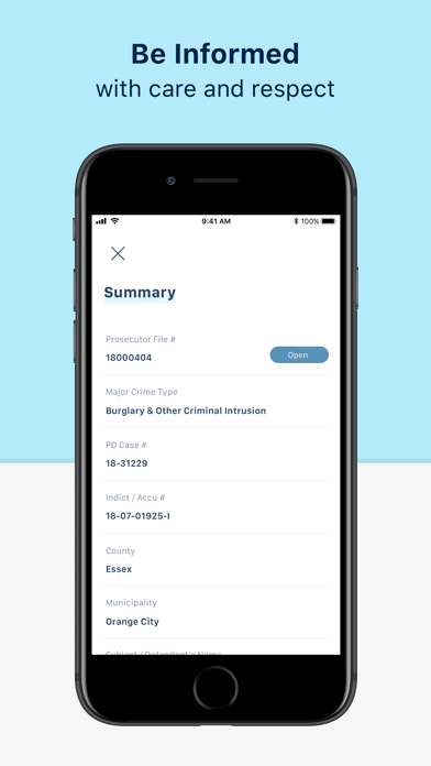 InfoVNS screenshot 6