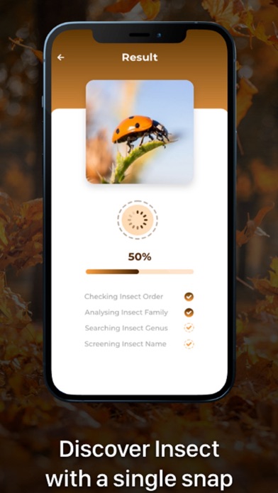 Insect ID - Bug Identifier screenshot 2