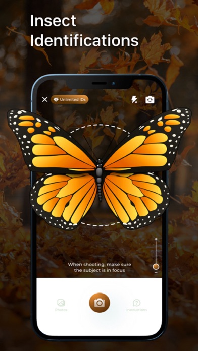 Insect ID - Bug Identifier screenshot 5