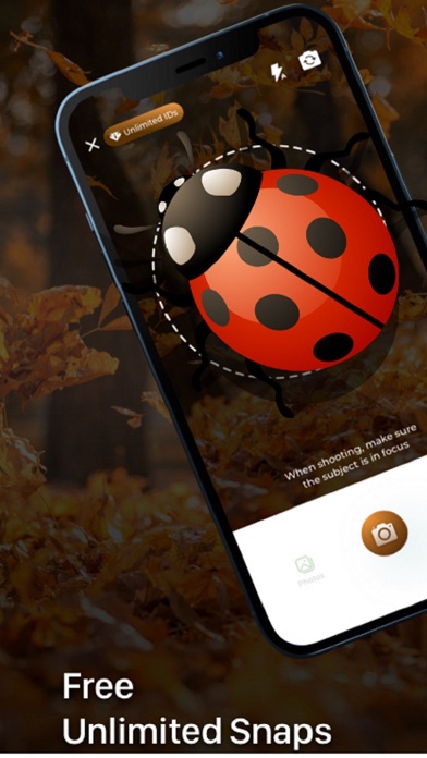 Insect ID - Bug Identifier screenshot 4