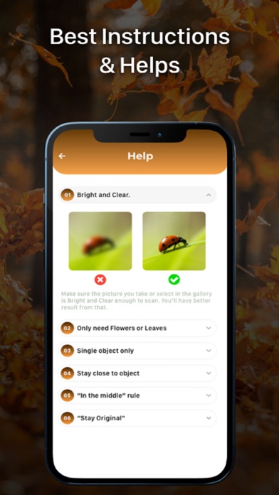 Insect ID - Bug Identifier screenshot 1