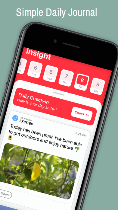 Insight - Daily Journal screenshot 5