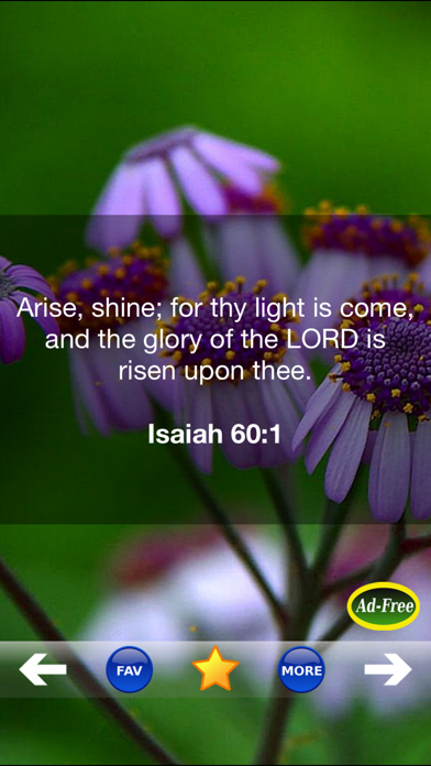 Inspirational Bible Verse of the Day FREE! Daily Bible Inspirations, Scripture & Christian Devotionals! screenshot 2
