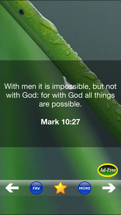 Inspirational Bible Verse of the Day FREE! Daily Bible Inspirations, Scripture & Christian Devotionals! screenshot 1