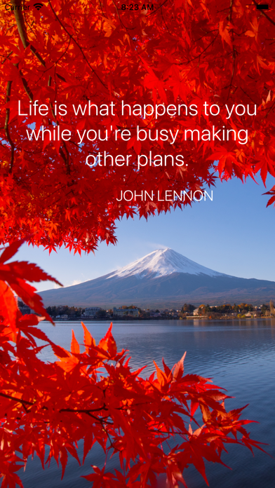 Inspirational Quotes ‎ screenshot 10