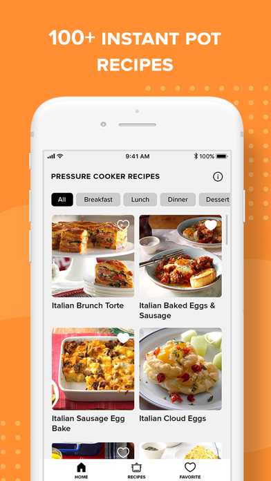 Insta Pressure Cooker Recipes screenshot 3