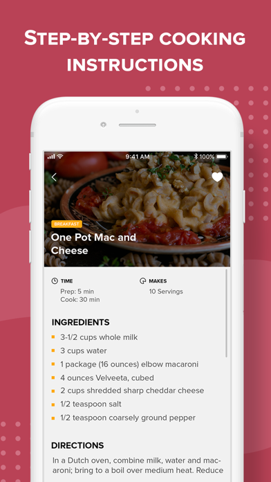 Insta Pressure Cooker Recipes screenshot 2