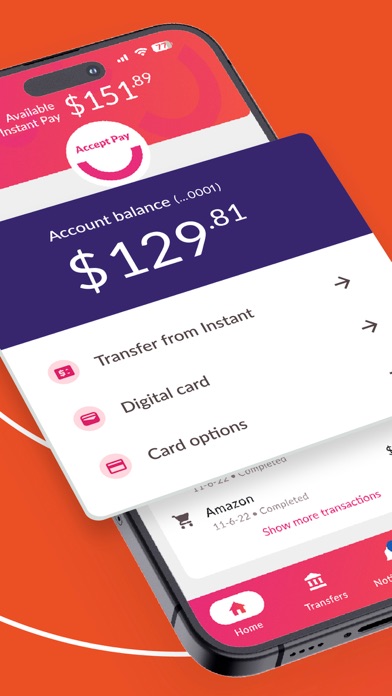 Instant Financial screenshot 9