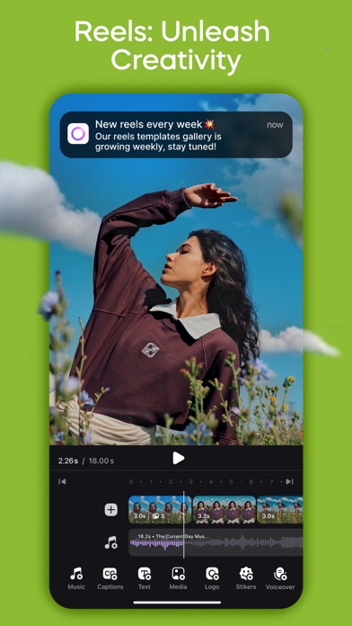 Instories: AI Photo & Video screenshot 9