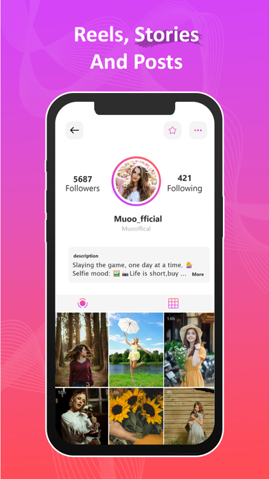 InstSaver screenshot 2