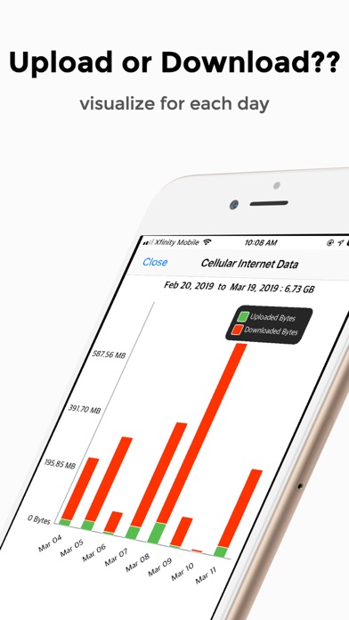 Internet Data Tracker Lite screenshot 2