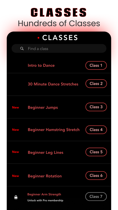 Intricate Training For Dancers screenshot 5