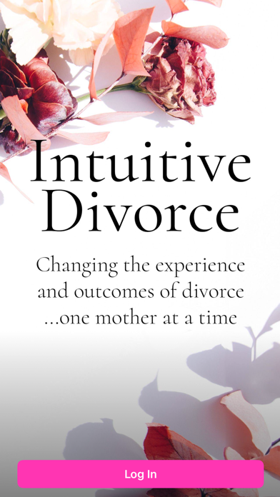Intuitive Divorce screenshot 5