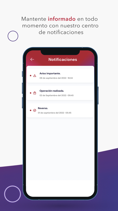 INVEX Control screenshot 2