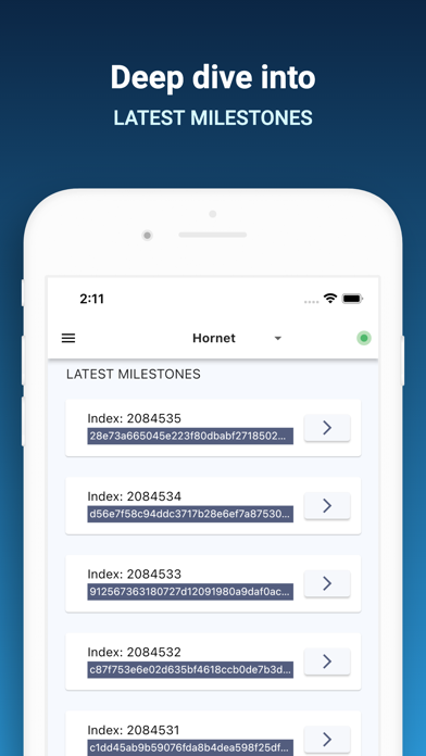 IOTA Node Manager screenshot 8