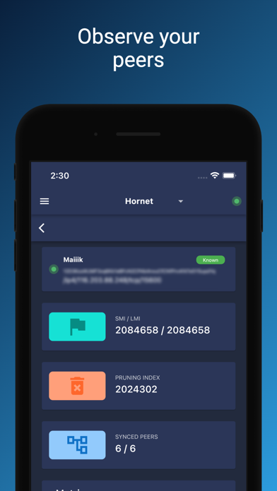 IOTA Node Manager screenshot 1