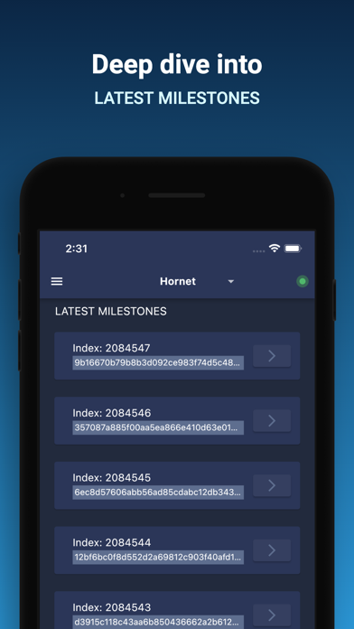 IOTA Node Manager screenshot 3