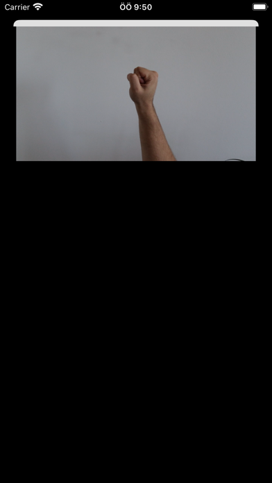 Iottech Handpose screenshot 1