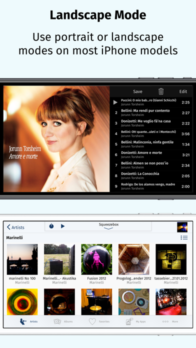 iPeng screenshot 1