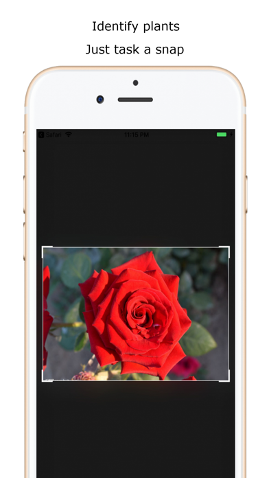 iplant - Plant Identification screenshot 3