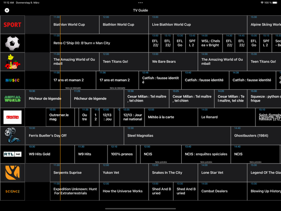 IPTV Streamer Max screenshot 2