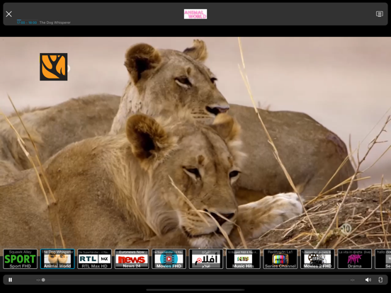 IPTV Streamer Max screenshot 3