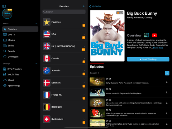 IPTV Streamer Pro screenshot 4