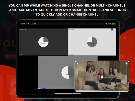 IPTVX screenshot 2