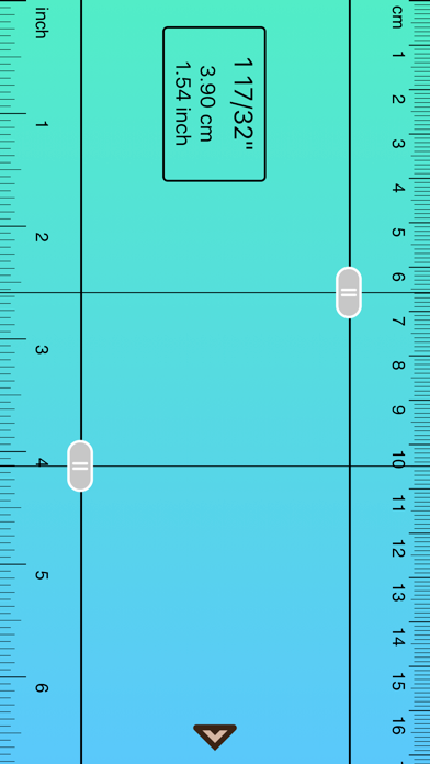 iRuler Plus screenshot 4