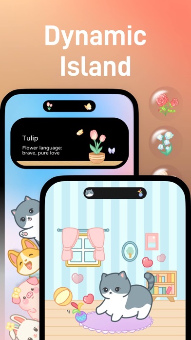 iScreen - Widgets & Wallpaper screenshot 2