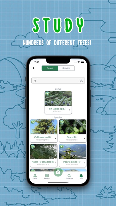 iSeaTree screenshot 4