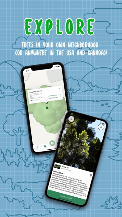 iSeaTree screenshot 3