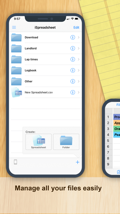 iSpreadsheet™ : Office Sheets screenshot 3