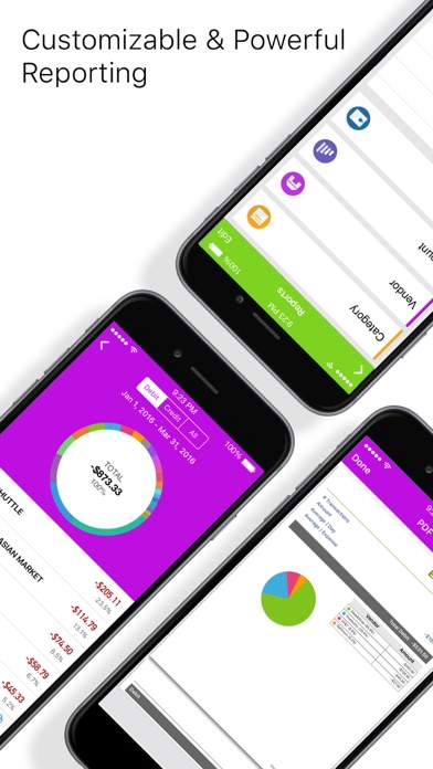 iXpenseIt Pro: Manage Finance screenshot 2