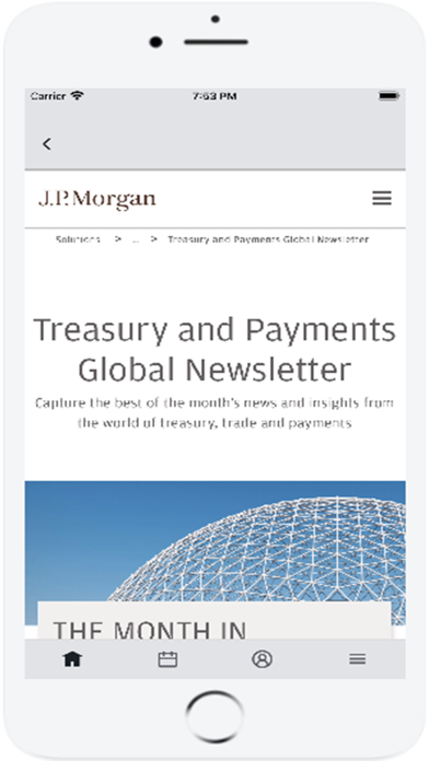 J.P. Morgan Payments Insights screenshot 5
