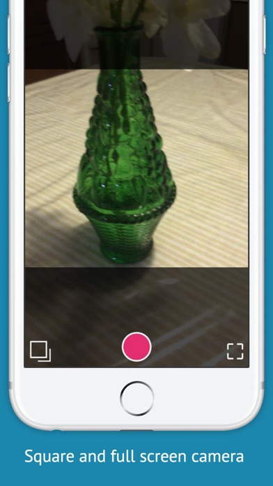 Jellycam - wobble any photo screenshot 3