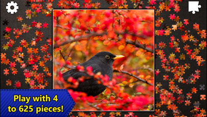 Jigsaw Puzzles Epic screenshot 1