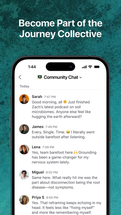 Journey Collective screenshot 2