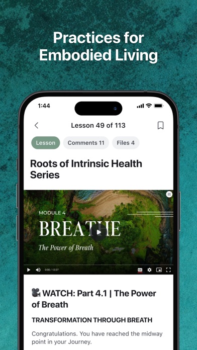 Journey Collective screenshot 3