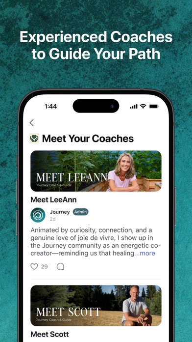 Journey Collective screenshot 1
