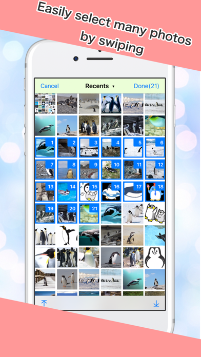 Judge Photo screenshot 2