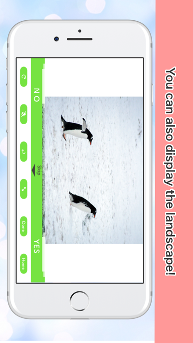Judge Photo screenshot 1