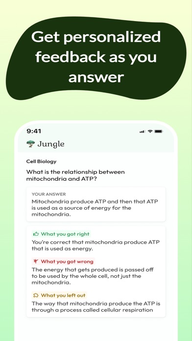 Jungle: AI Flashcards & Quiz screenshot 2
