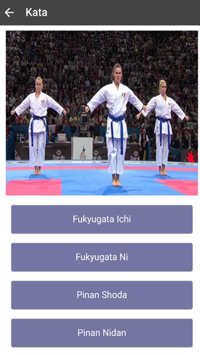 Karate-Do screenshot 2