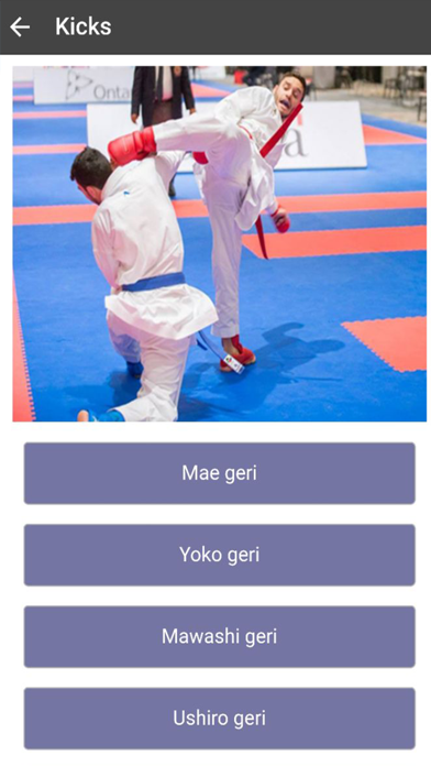 Karate-Do screenshot 5