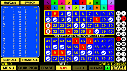 Keno 20 Card screenshot 2