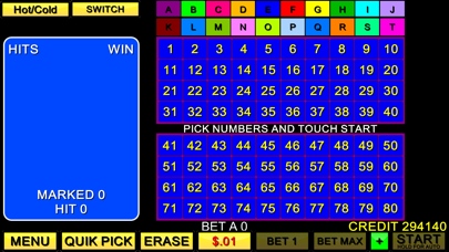 Keno 20 Card screenshot 1
